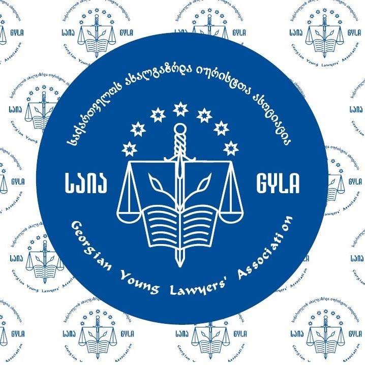 Constitutional Court satisfied a lawsuit of GYLA