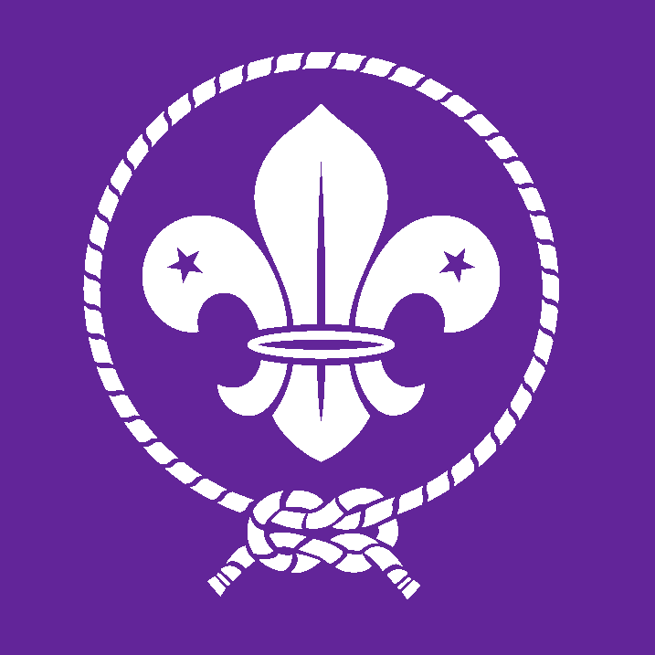 Georgian Organization of the Scout Movement