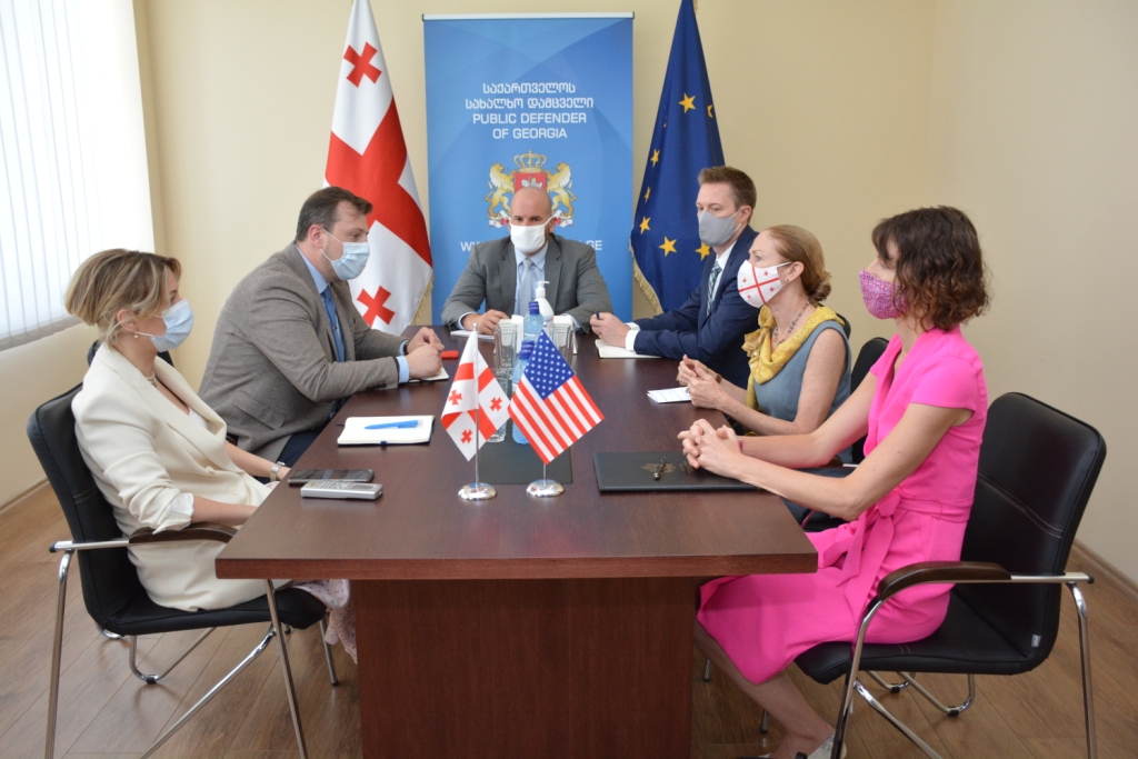 Meeting between Public Defender of Georgia and US Ambassador to Georgia 