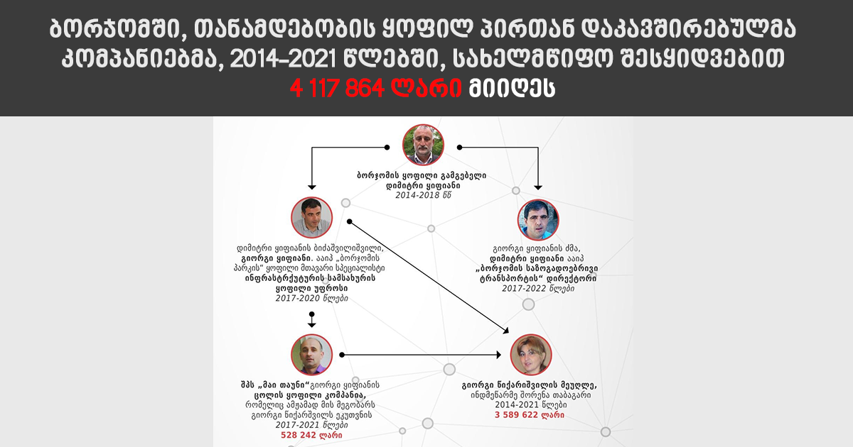 Facts of alleged corruption in the public procurements of the Borjomi Municipality