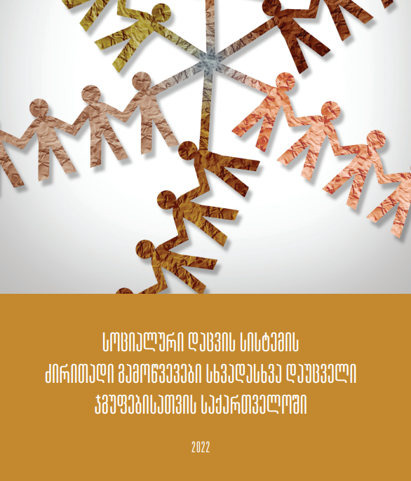The main challenges of the Social Protection System for various vulnerable groups in Georgia