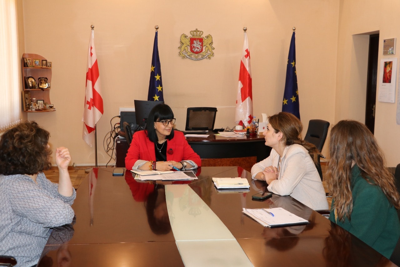 Working meeting with Dusheti Municipality and city Hall representatives