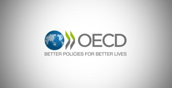 Georgia is the Only Country that Has Yet to Join the OECD Anti-Corruption Assessment Process