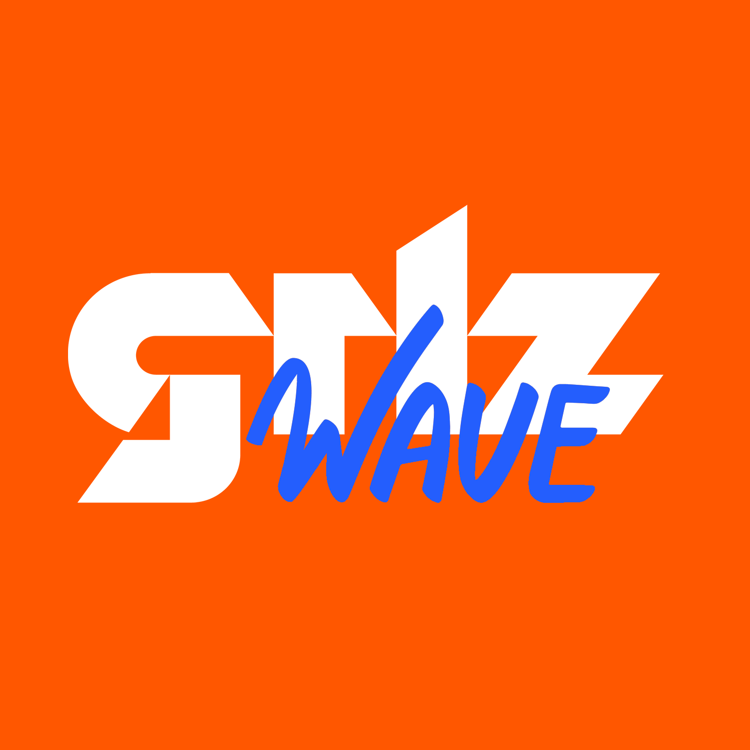 Grlz Wave: ამ კანონპროექტის მიზანია, გაქრეს ხელისუფლებისადმი კრიტიკულად განწყობილი ორგანიზაციები და მედია