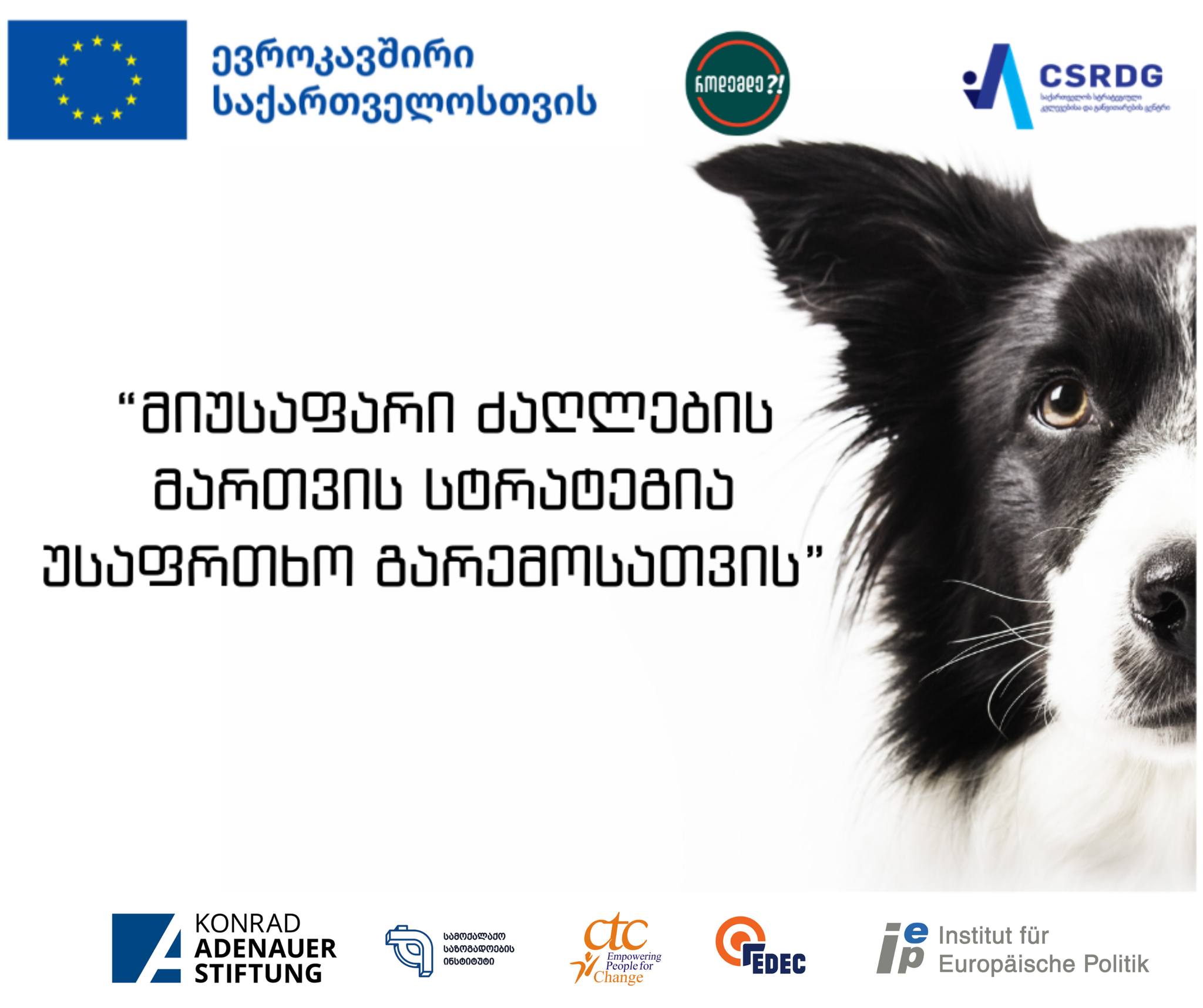 სათემო იდეების კონკურსის გამარჯვებული პროექტი - „მიუსაფარი ძაღლების მართვის სტრატეგია უსაფრთხო გარემოსათვის“