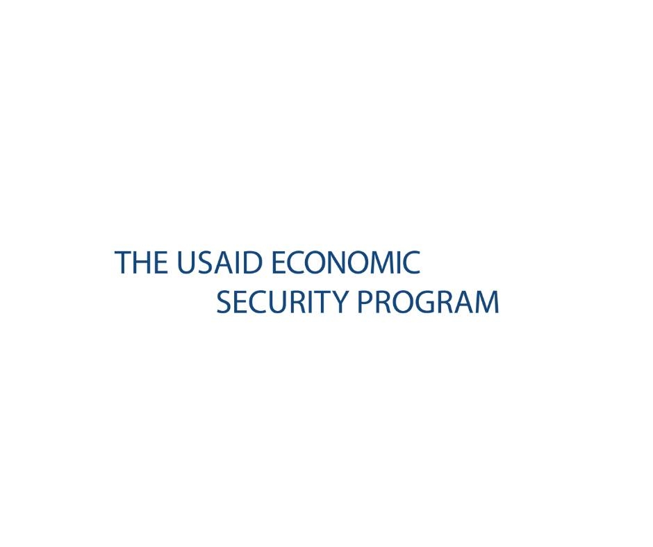 ეკონომიკური უსაფრთხოების პროგრამა (USAID)