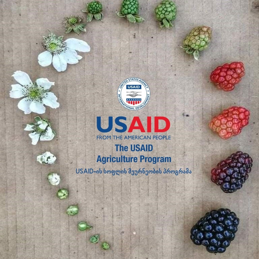 The Agriculture Program (USAID)