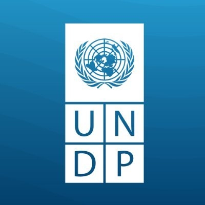  Environment and Energy (UNDP)