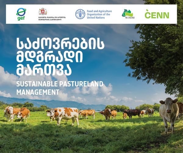 Publication - Sustainable Pasture Management
