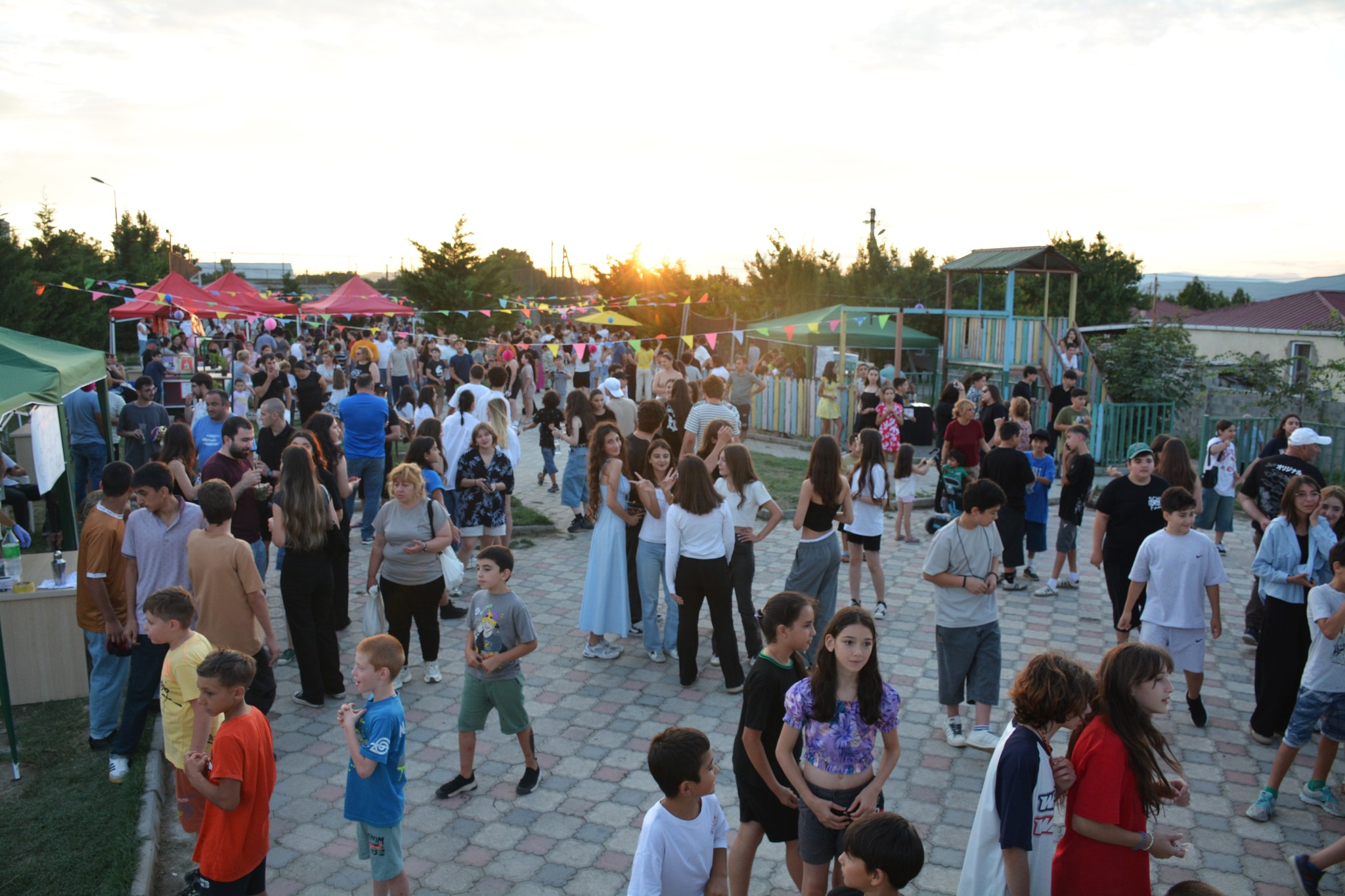 Volunteer Festival in Tserovani